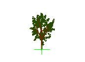 D43DN029.dwg