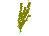 D53DN009.dwg