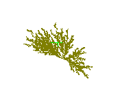 D53DN010.dwg