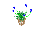 D53DN017.dwg