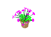 D53DN019.dwg