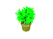 D53DN030.dwg