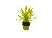 D53DN033.dwg
