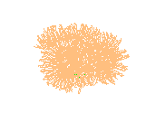 D53DN055.dwg