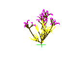 D53DN058.dwg