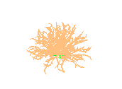 D53DN061.dwg