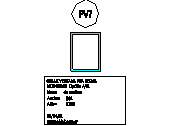 VF_M60_80X110_F.dwg