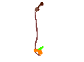 MONODIN TOP DUCHA_3D.dwg
