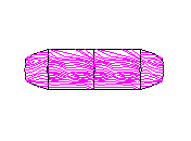 DXR0402D.dwg