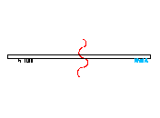AM_A302D.dwg