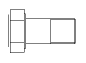 2D5 BOLT HEXFINISHED SV.dwg