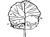 1ARB-MORA.dwg