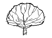 1ARB-PALOBORRACHO.dwg