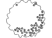 AR-PCIR.dwg