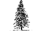 ARB-APIN.dwg
