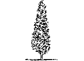 ARB-VCIP.dwg