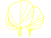 ARBOL-V1.dwg