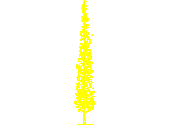 PINO-X0.dwg