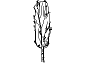 1ARB-ALAMOBOLLEANO.dwg