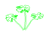 ARB-43.dwg