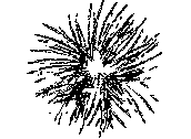 ARB-PM~1.dwg