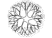 ARB-Z2.dwg