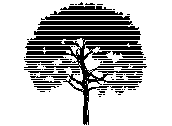 ARVLS027.dwg